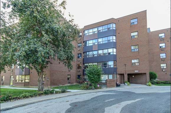 382 Queenston Street, St. Catharines, ON L2P 3V5 — photo 3